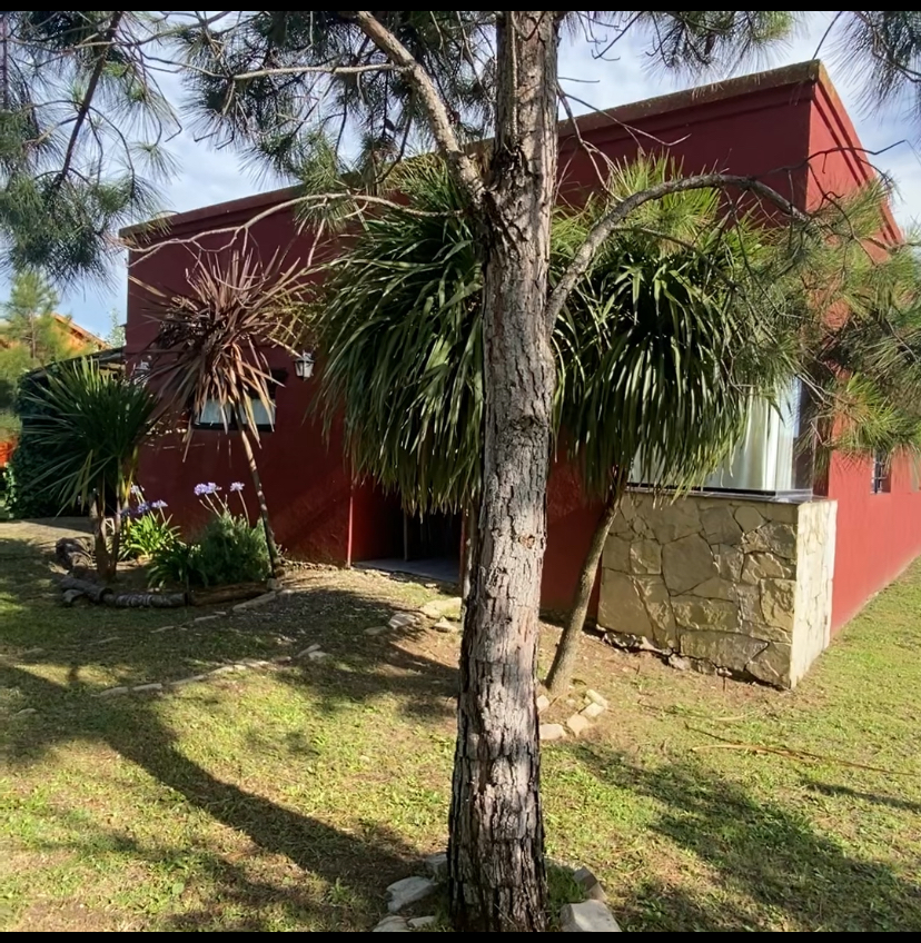 Dueño vende Costa Chica