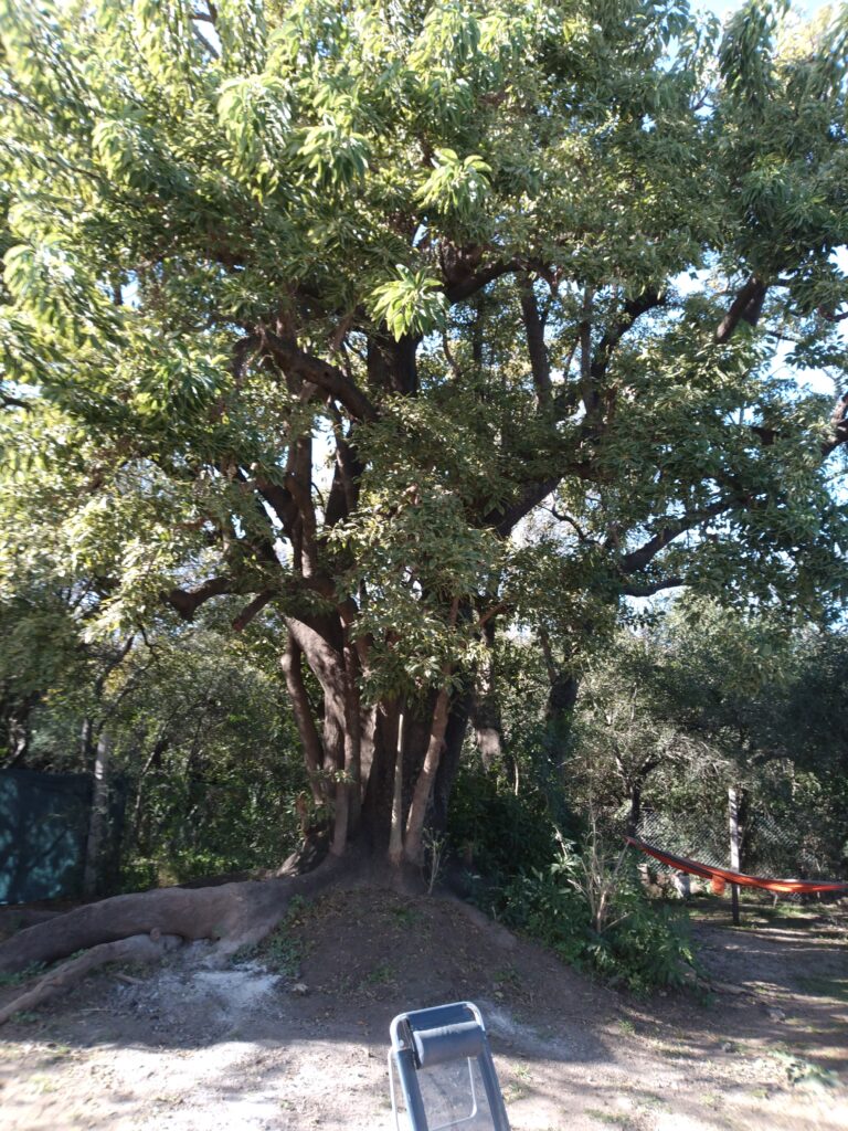 CASA EN VENTA BARRIO UNIVERSIDAD, RIO CUARTO