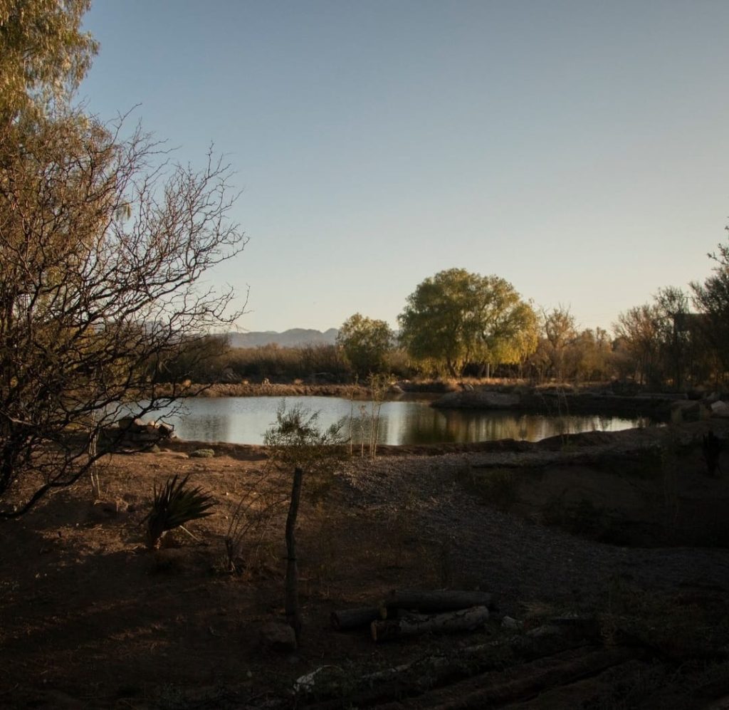 VENDO LOTE EN CLUB DE CAMPO PUEBLO BENEGAS