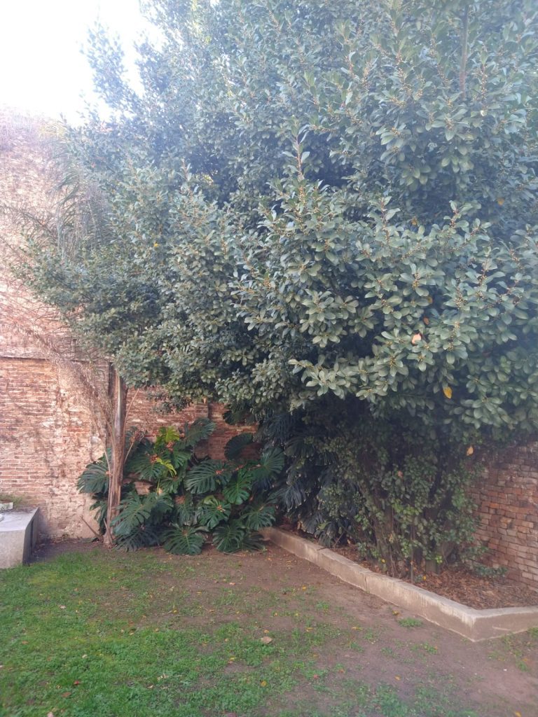Casa Antigua Lujan A la vuelta de la Basílica