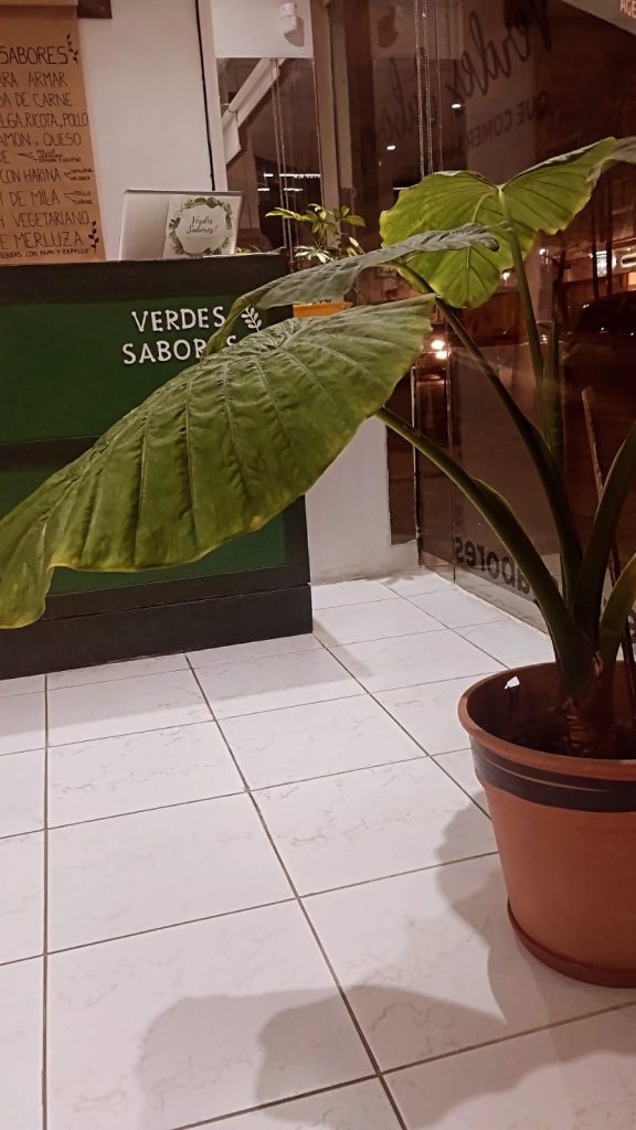 Venta de fondo de comercio