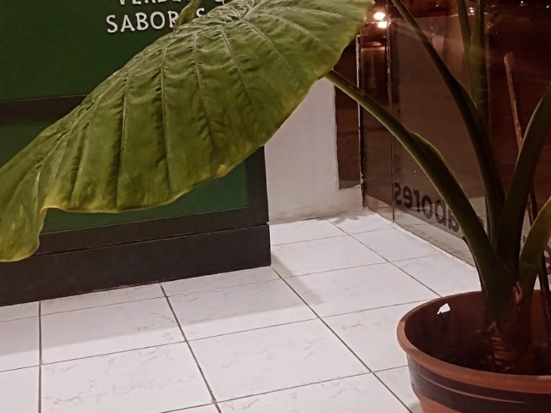 Venta de fondo de comercio
