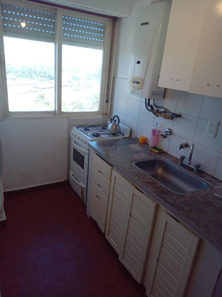 Dueño alquila (febrero a diciembre)