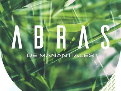 Lote Abras de Manantiales