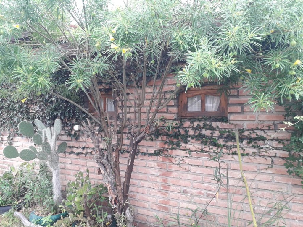 Venta de casa La Paz