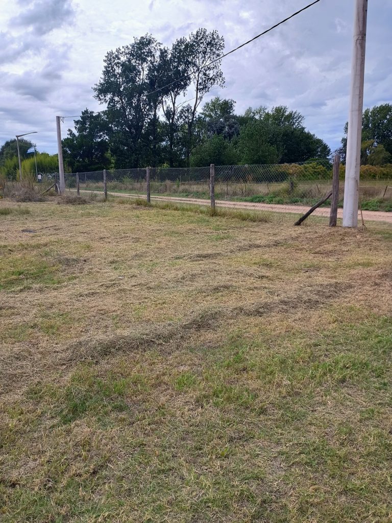 Terreno zona residencial las cavas