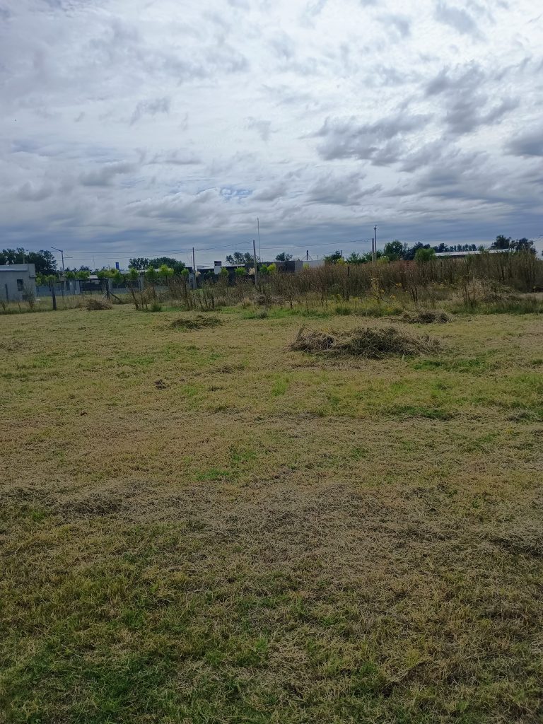 Terreno zona residencial las cavas