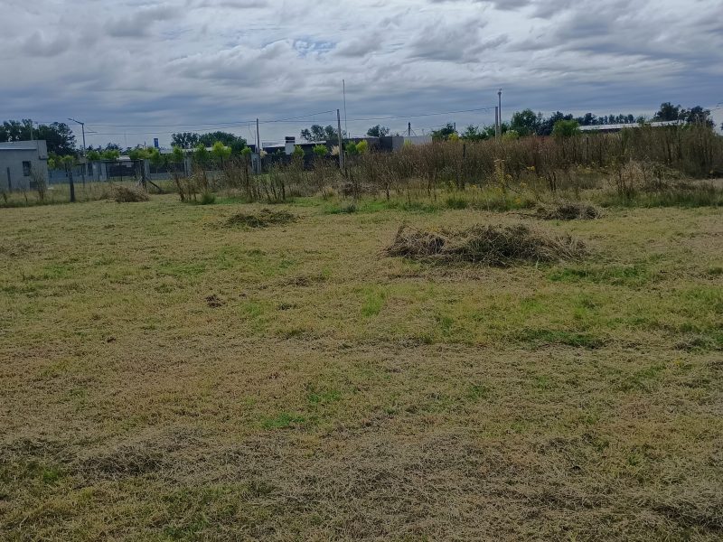 Terreno zona residencial las cavas