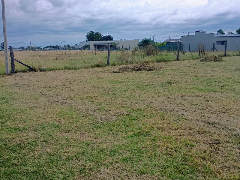 Terreno zona residencial las cavas
