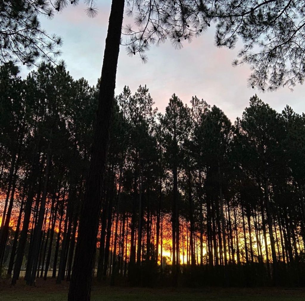 Lote en La Aldea Club del rio