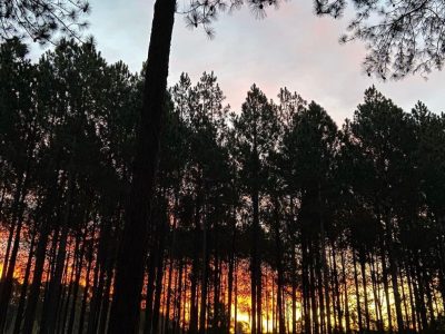 Lote en La Aldea Club del rio