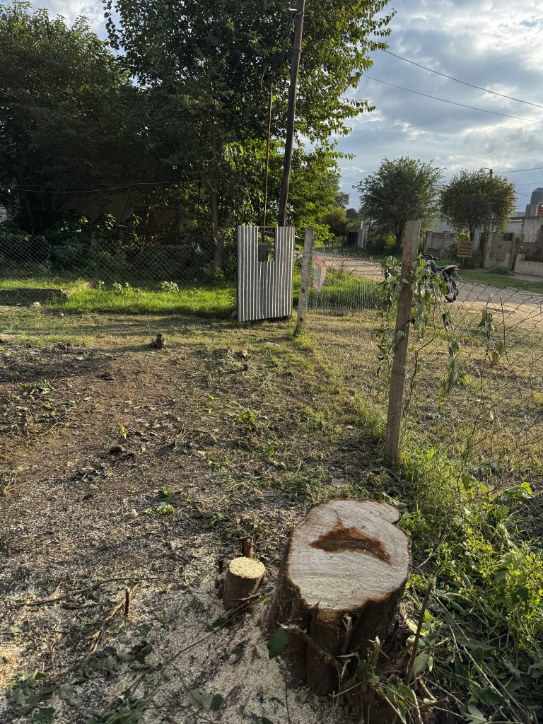 VENTA JUNIN CALLE FRANCIA Y SAN LUIS 11x26,45mts