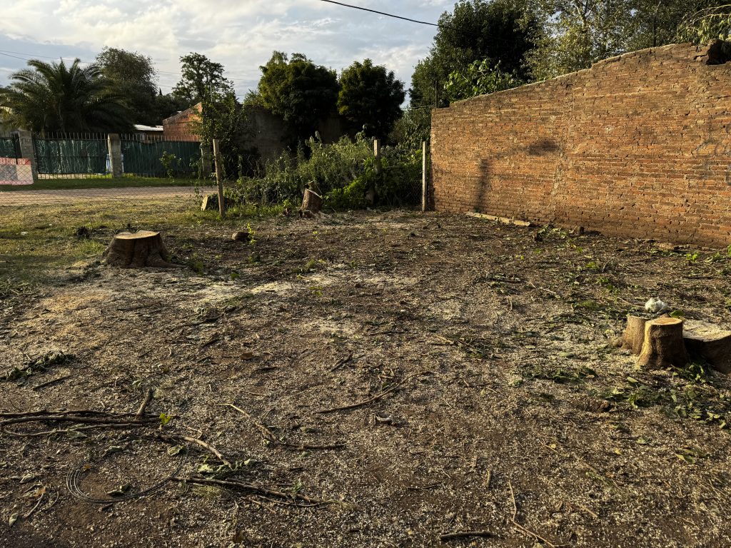 VENTA JUNIN CALLE FRANCIA Y SAN LUIS 11x26,45mts