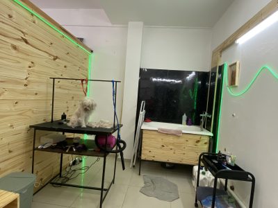 Peluquería canina y pet shop