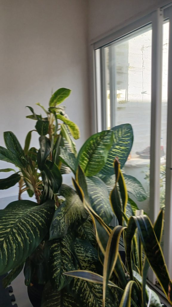 Vendo Casa inmejorable ubicación. A media cuadra bulevar piacentini